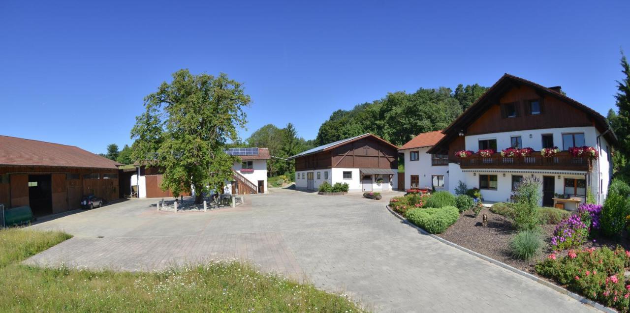 Gaestehaus Wildgehege Wilhelm Exterior foto