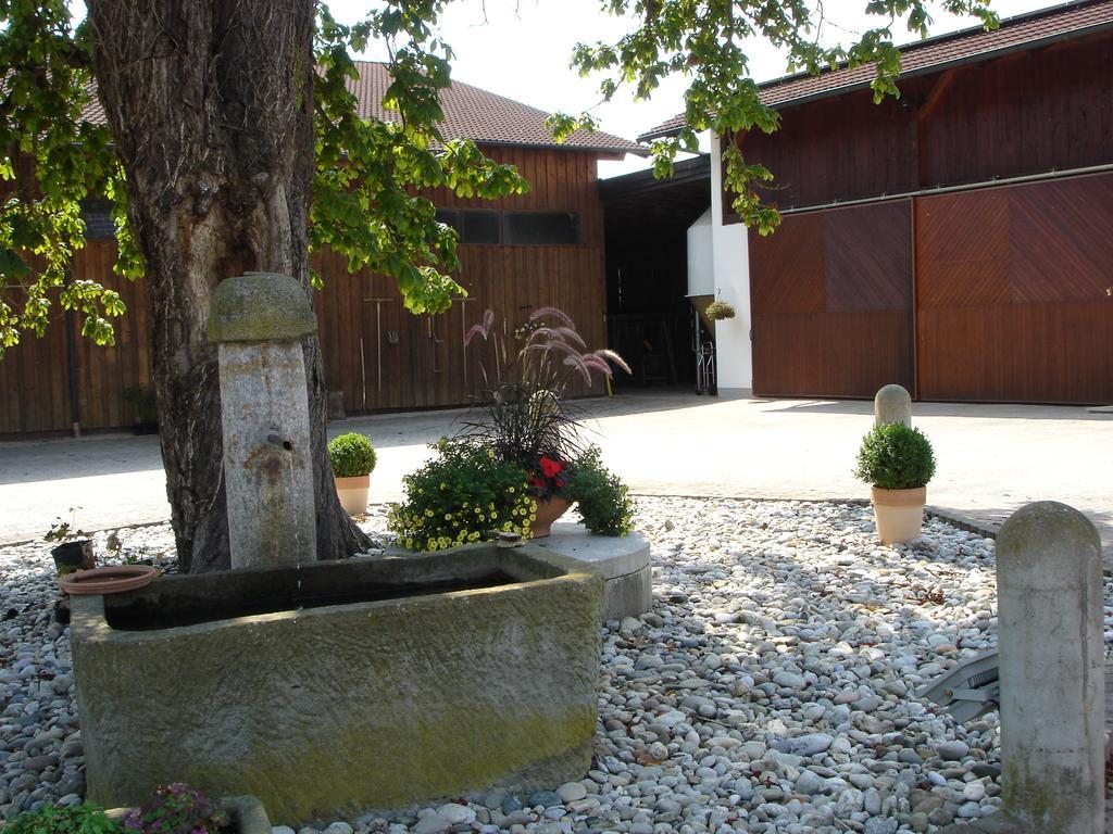 Gaestehaus Wildgehege Wilhelm Exterior foto